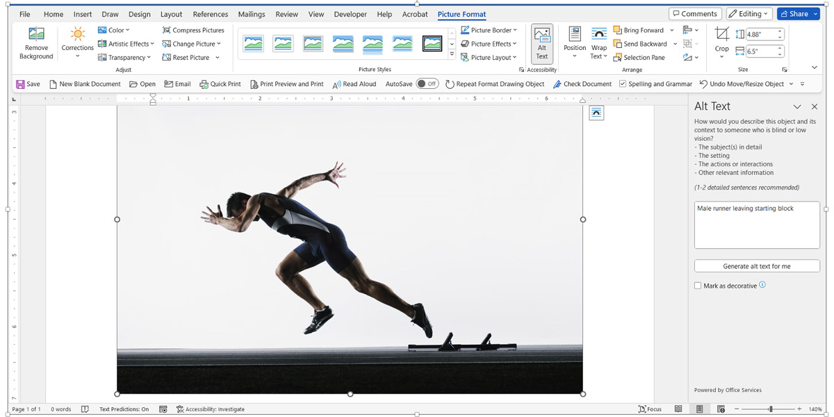 Screenshot of an image an alt text field in Word.