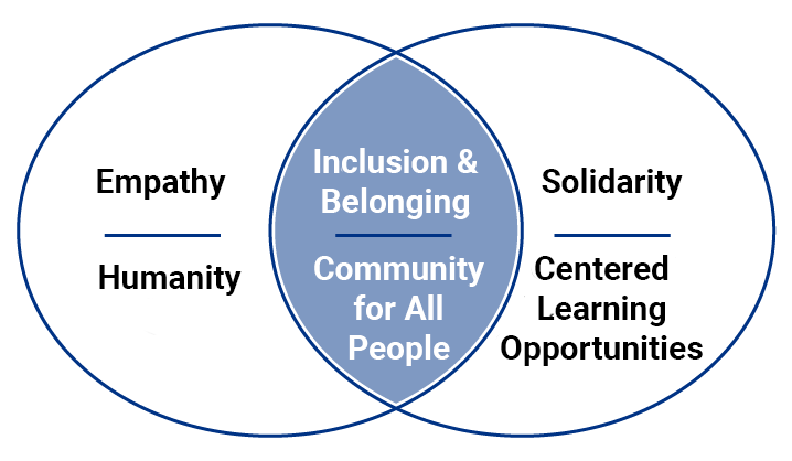 Diagram of DEI's vision and approach
