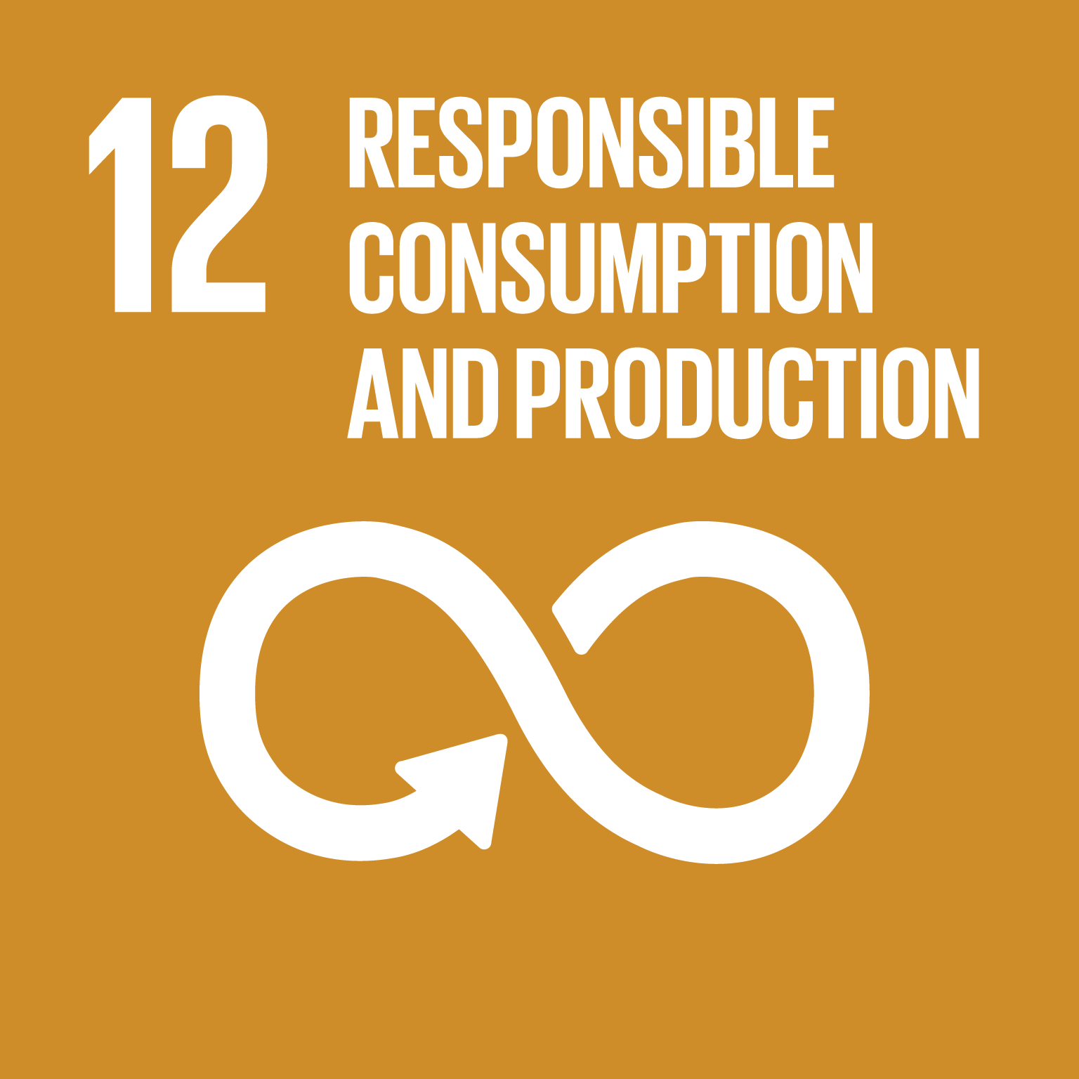 Goal 12: Responsible Consumption, the text of this infographic is listed below