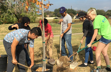 photo of students planting a tree
