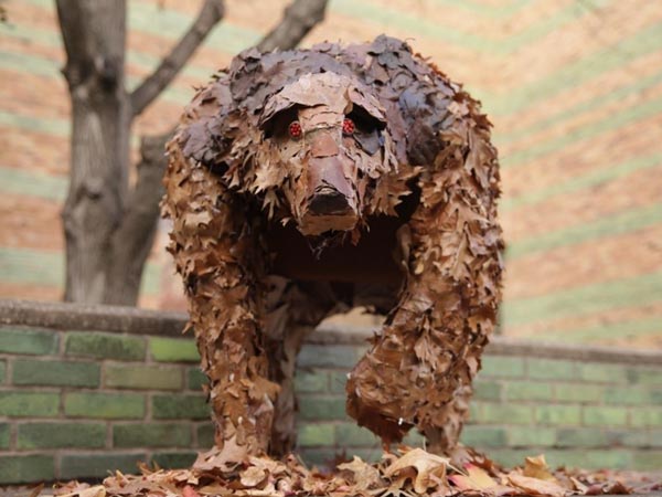 Picture of a bear made from fallen leaves on the Brookhaven Campus, created by art students. The bear has a calming look, creating a welcome feeling. If you were to touch the leafy bear sculpture, it would feel like leaves were glued together like a quilted blanket, taking the shape of a small bear or large dog without a tail.