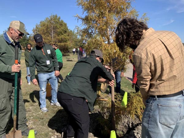 The picture is of a group of students and staff planting a tree. The tree is taller than the people.  One volunteer is holding the tree to be centered in the dugout hole, while the other volunteers stand ready with shovels to scoop dirt into the hole and finish planting the tree.