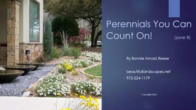 Thumbnail of Perennials You Can Count On video