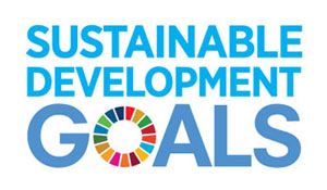 SDG logo