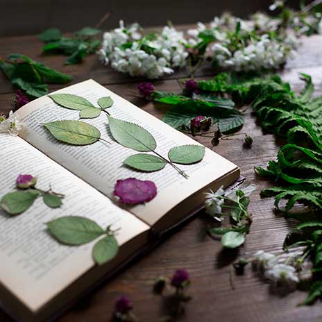 Oshibana art made of real pressed flowers and dried plants, Unique handmade  decor made by me, : r/crafts