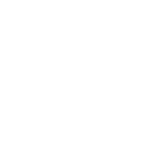 Nerd Kingdom logo