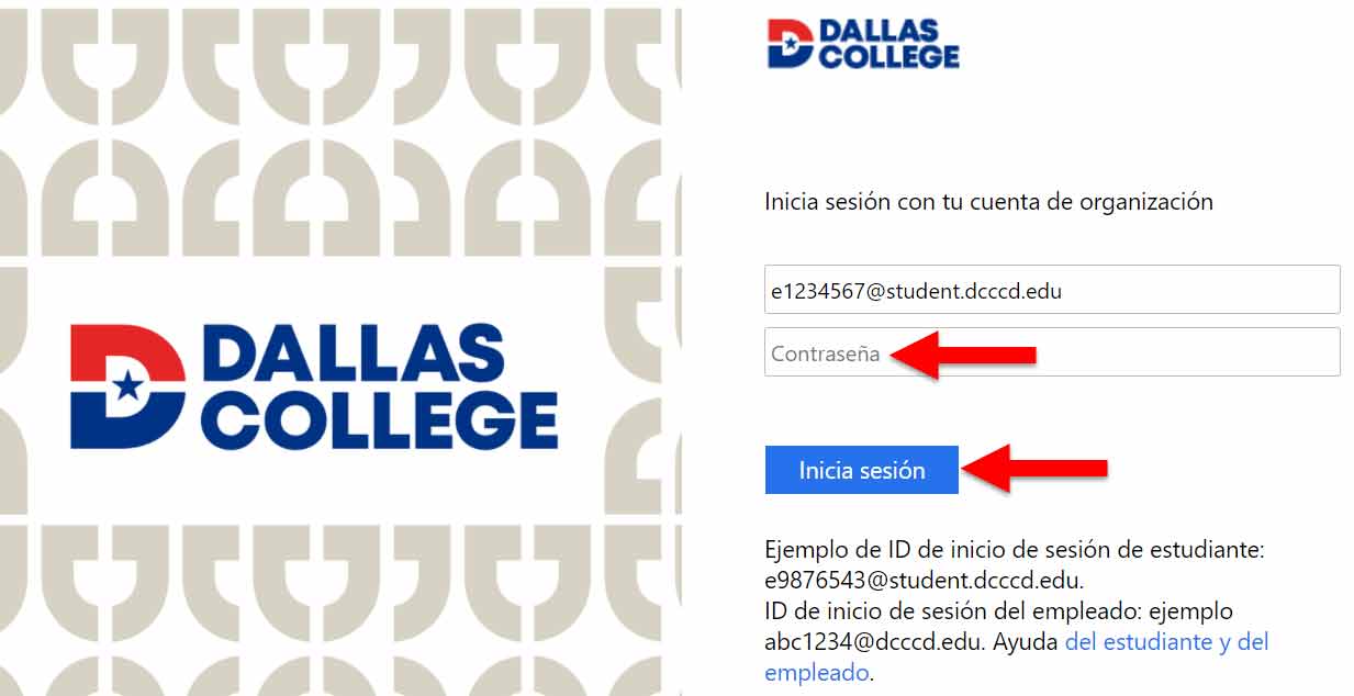 Captura de pantalla de la página de inicio de sesión de la cuenta organizativa de Dallas College. El campo de entrada de contraseña y el botón Iniciar sesión se resaltan.