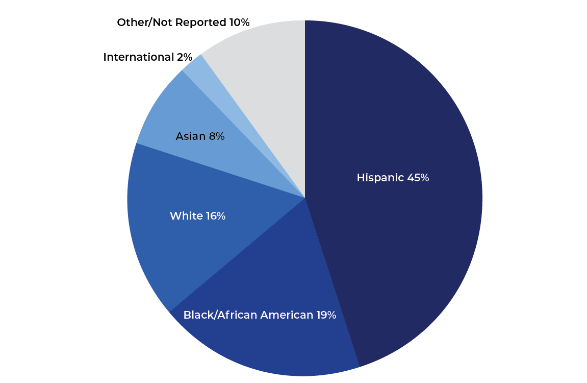 Dallas College Demographics Pie Chart