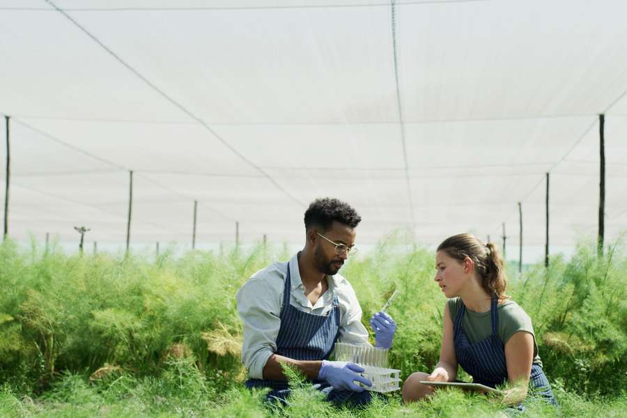 man and woman wearing aprons in a greenhouse holding test tubes