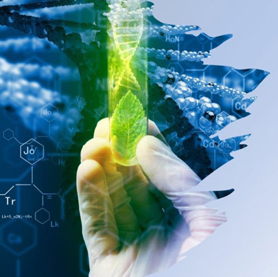 A person holds a test tube with a green leaf in it