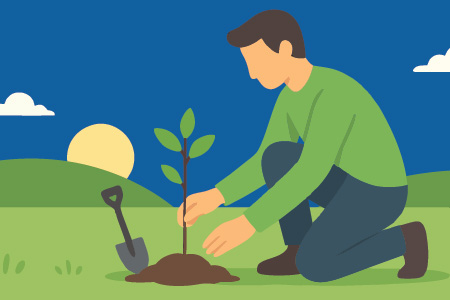 Illustration of person planting a tree