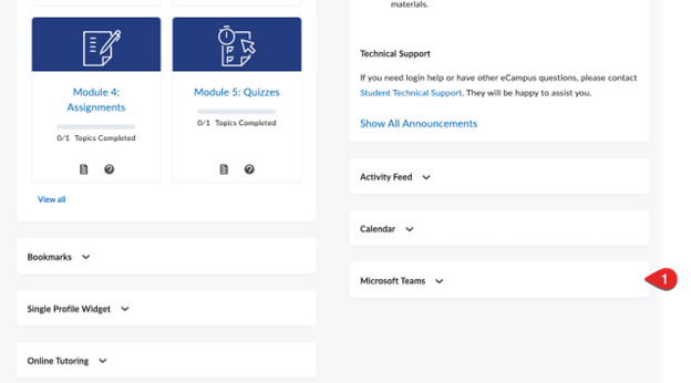 This is a screenshot of a course page’s widgets in eCampus.