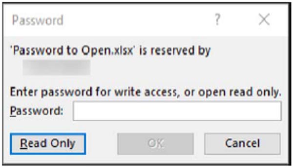 Password dialog box. Screenshot of the Password dialog box. Read Only is highlighted