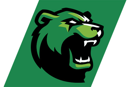 Brookhaven Bears mascot