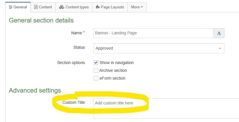Screenshot showing the custom title element on a section