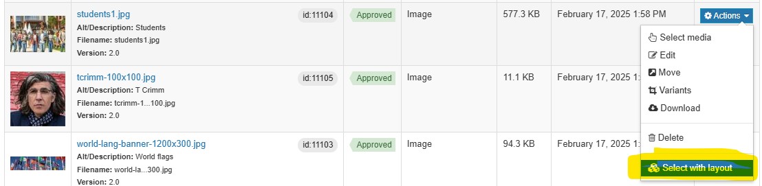 Screenshot showing select with layout option in the media library