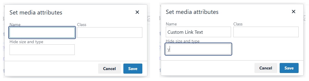 Screenshots showing media attributes modal