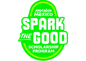 Decorative image for Spark the Good Scholarship Program