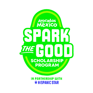 Decorative image for Spark the Good Scholarship Program