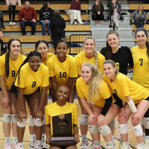 Decorative image for Brookhaven Volleyball Team Finishes Third in Nation