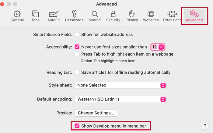 Screenshot of the Advanced tab with the Show Develop menu in menu bar box checked.