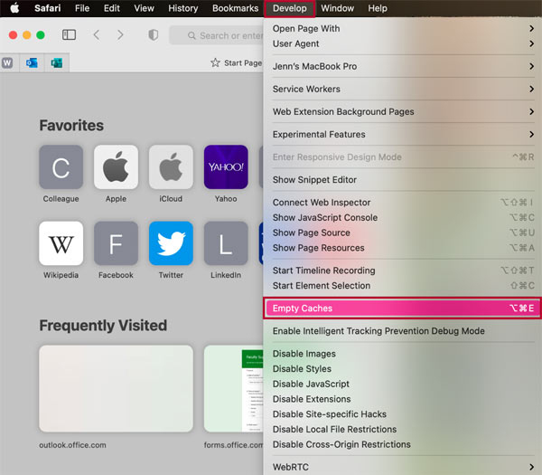 Screenshot of the Develop menu with Empty Cache option highlighted.