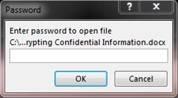 Password Prompt. Screenshot of the password prompt requiring the user to enter password to open file.