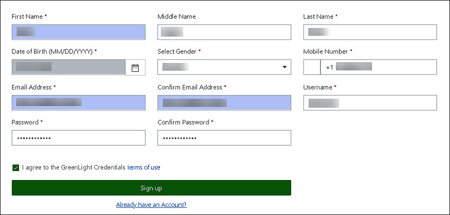 Screenshot of GreenLight Student Registration page after validation requesting additional information to sign up for an account.