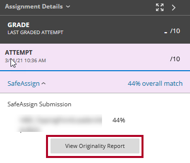 Screenshot of the Assignments Details area with the SafeAssign area expanded and View Originality Report button highlighted.