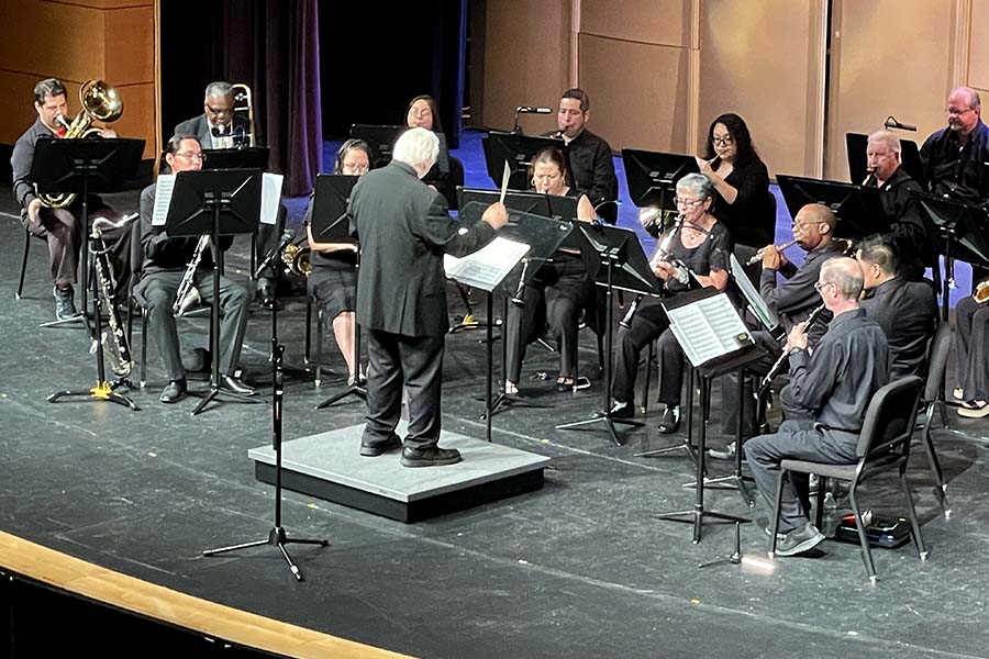 Musicians perform on stage