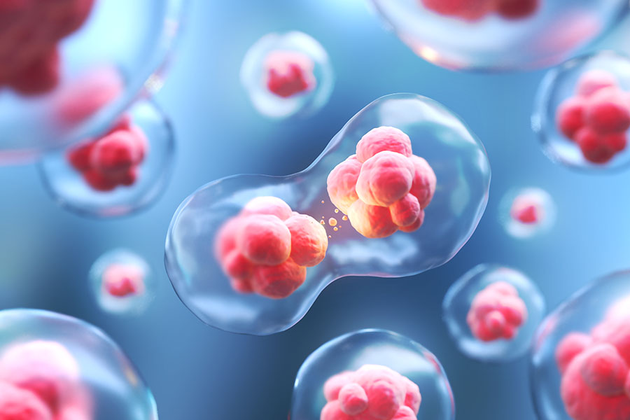 Scientific illustration of organic cells